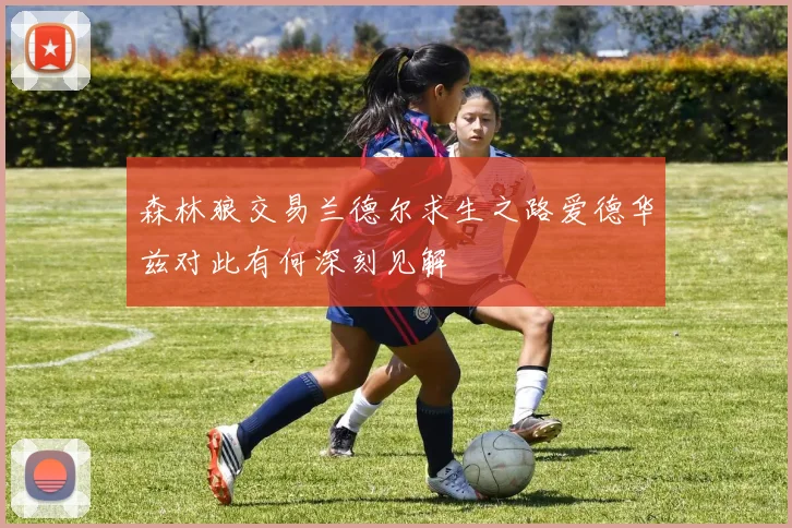 森林狼交易兰德尔求生之路爱德华兹对此有何深刻见解